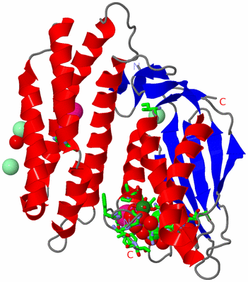 Image Asym./Biol. Unit - sites
