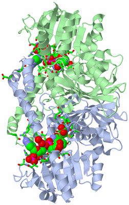 Image Asym./Biol. Unit - sites