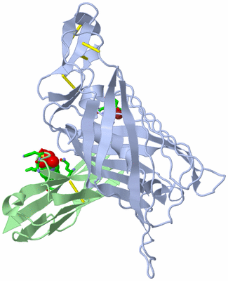 Image Asym./Biol. Unit - sites