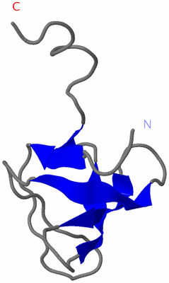 Image NMR Structure - model 1
