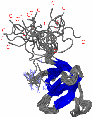 Image NMR Structure - all models