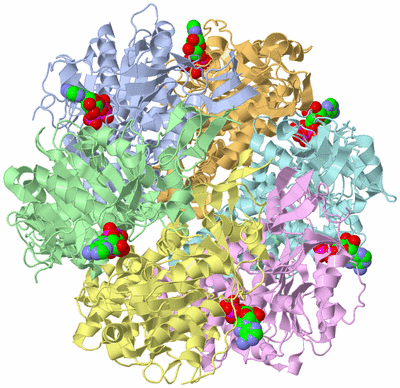 Image Asym./Biol. Unit