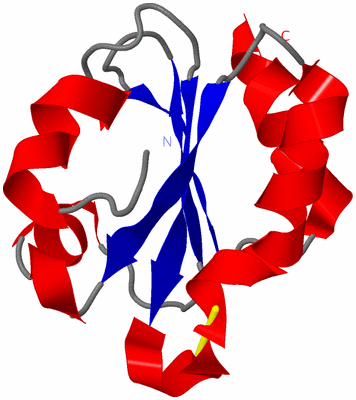 Image NMR Structure - model 1