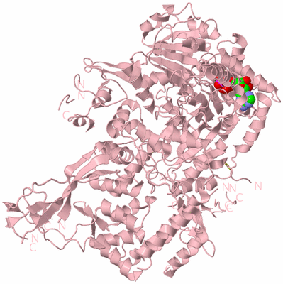 Image Biological Unit 2