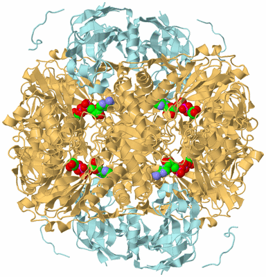 Image Biological Unit 1