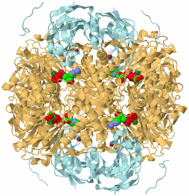 Image Biological Unit 1