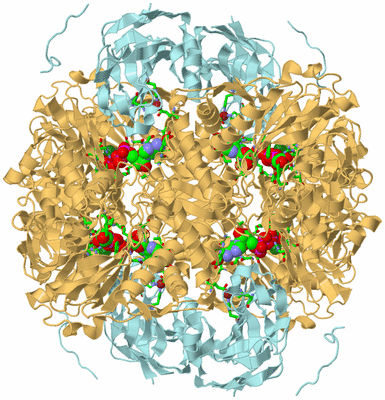 Image Biol. Unit 1 - sites