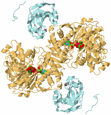 Image Biological Unit 2