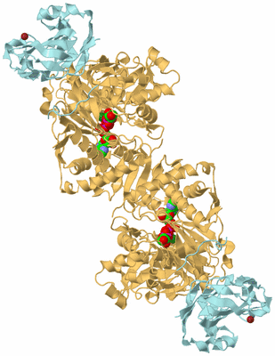 Image Biological Unit 3