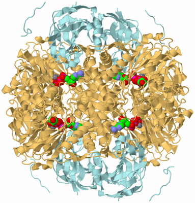 Image Biological Unit 1