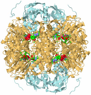 Image Biol. Unit 1 - sites