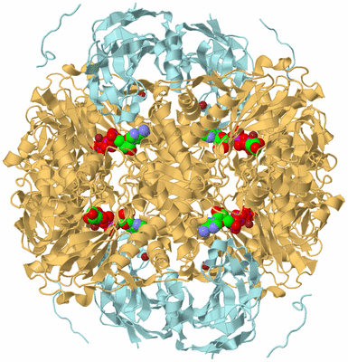 Image Biological Unit 1