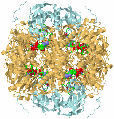 Image Biol. Unit 1 - sites