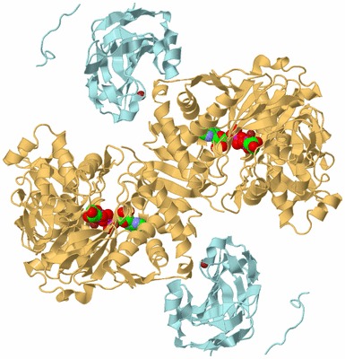 Image Biological Unit 2