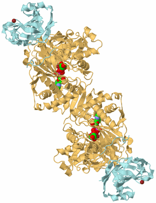 Image Biological Unit 3