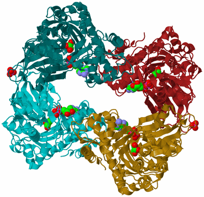 Image Asym./Biol. Unit