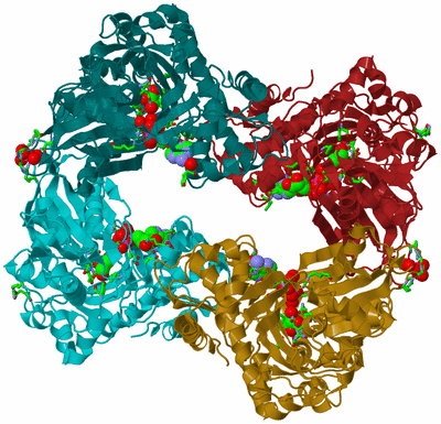 Image Asym./Biol. Unit - sites