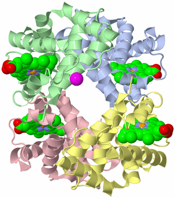 Image Asym./Biol. Unit