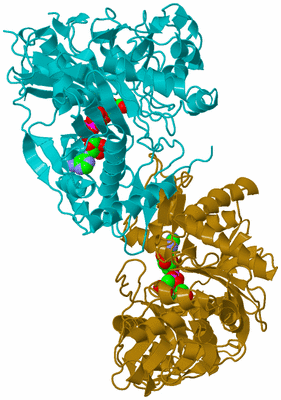 Image Asym./Biol. Unit