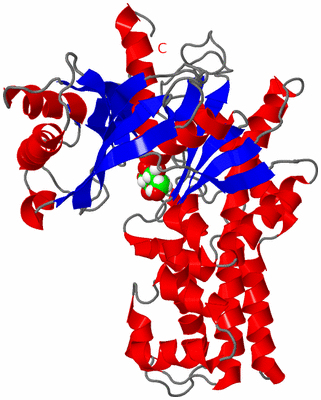 Image Theoretical Model