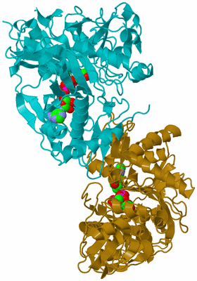 Image Asym./Biol. Unit