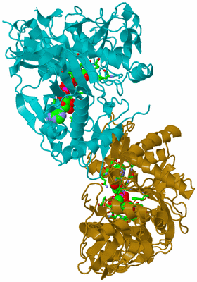 Image Asym./Biol. Unit - sites