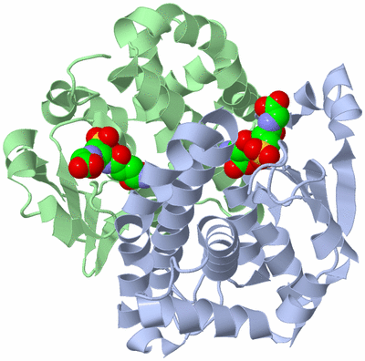 Image Asym./Biol. Unit