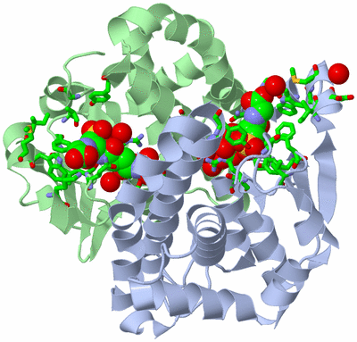 Image Asym./Biol. Unit - sites