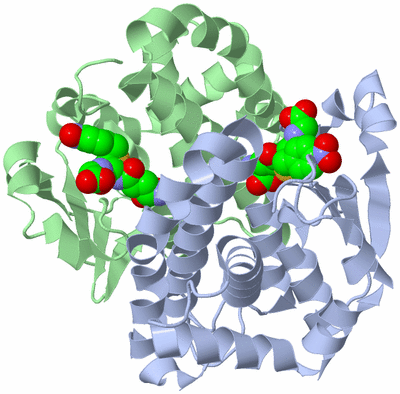 Image Asym./Biol. Unit