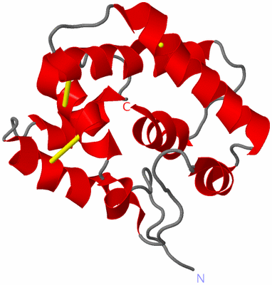 Image NMR Structure - model 1