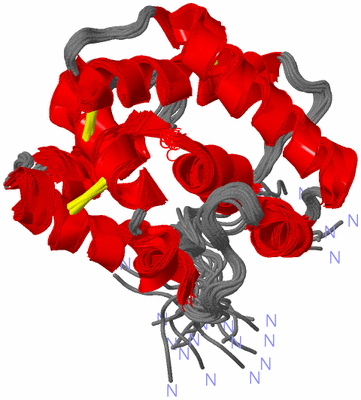 Image NMR Structure - all models