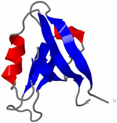 Image NMR Structure - model 1