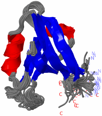 Image NMR Structure - all models