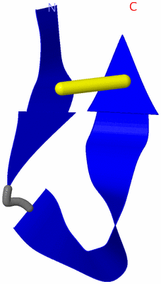 Image NMR Structure - model 1