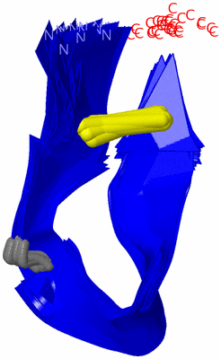 Image NMR Structure - all models