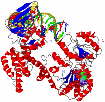 Image Asym./Biol. Unit