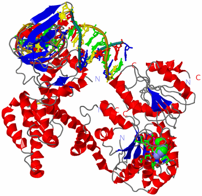 Image Asym./Biol. Unit - sites