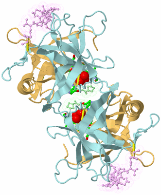 Image Biol. Unit 1 - sites