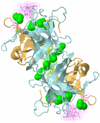 Image Biological Unit 1