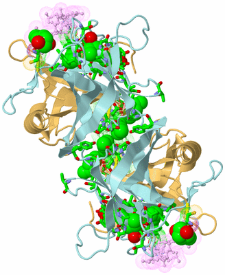 Image Biol. Unit 1 - sites