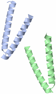 Image Asymmetric Unit