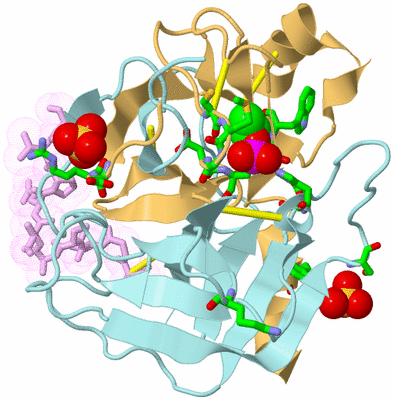 Image Biol. Unit 1 - sites
