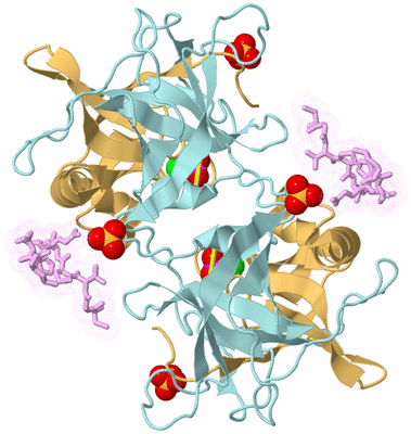 Image Biological Unit 3