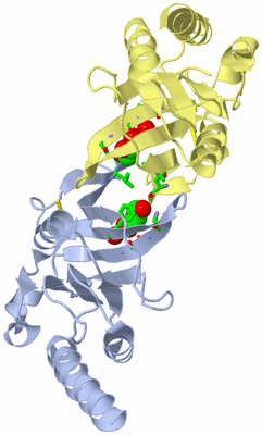 Image Biol. Unit 1 - sites