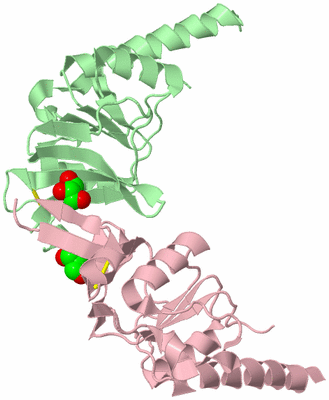 Image Biological Unit 2