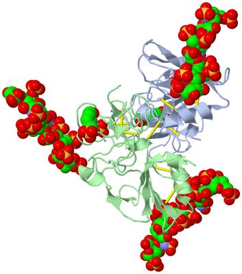 Image Biological Unit 1