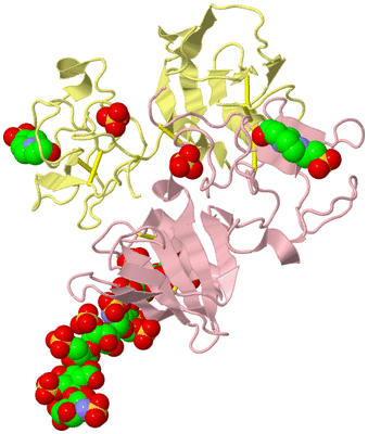 Image Biological Unit 2