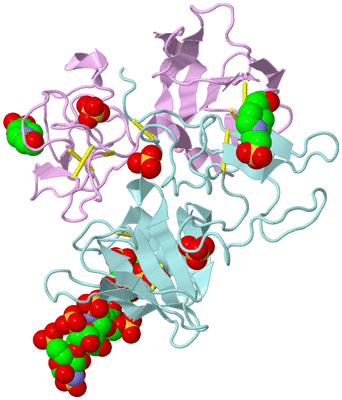 Image Biological Unit 3