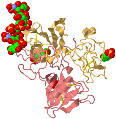 Image Biological Unit 4