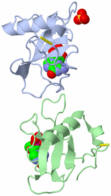 Image Asym./Biol. Unit